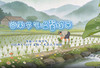 七彩云南▪节气养生指南【谷雨】