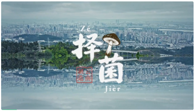 菌.png